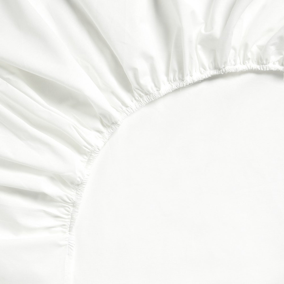 HOMI-BAJER-A BLANCO-1