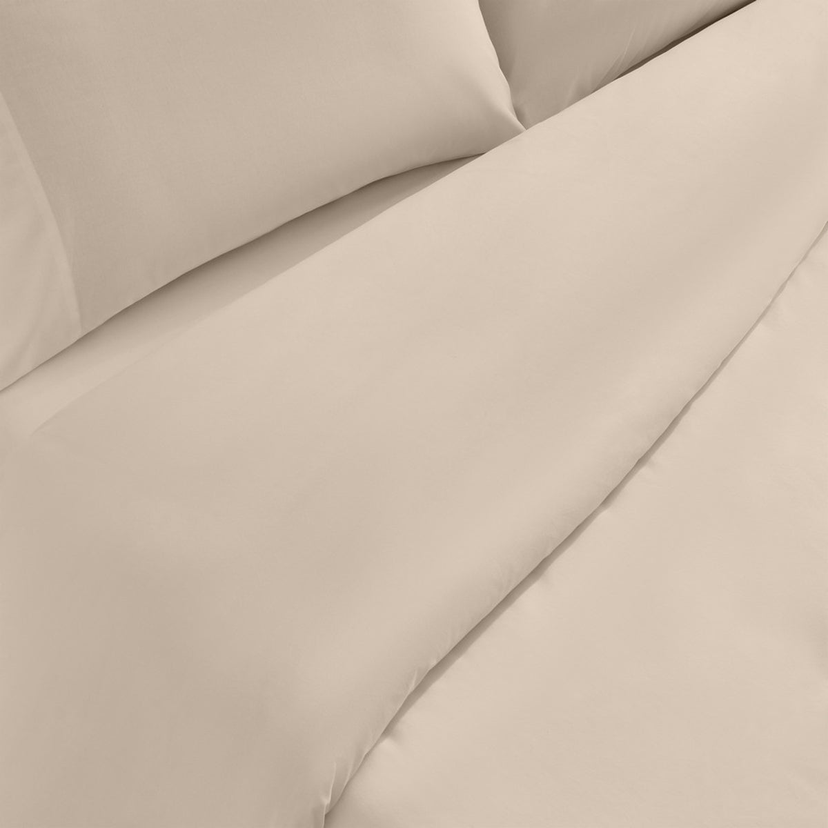 HOMI-FNORD-A MARRON BEIGE-1